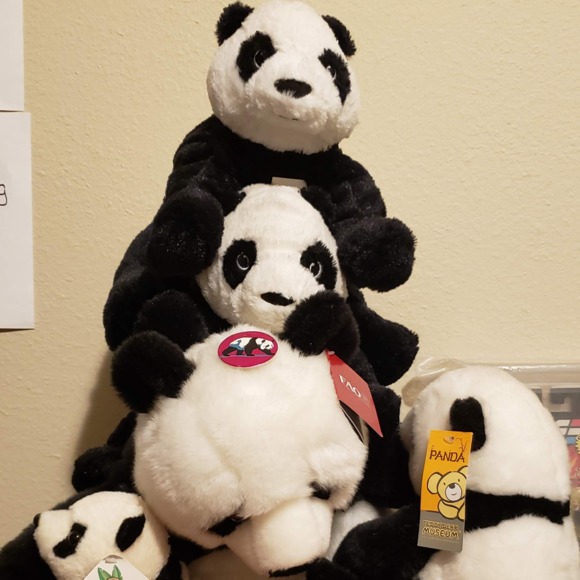 13pandas